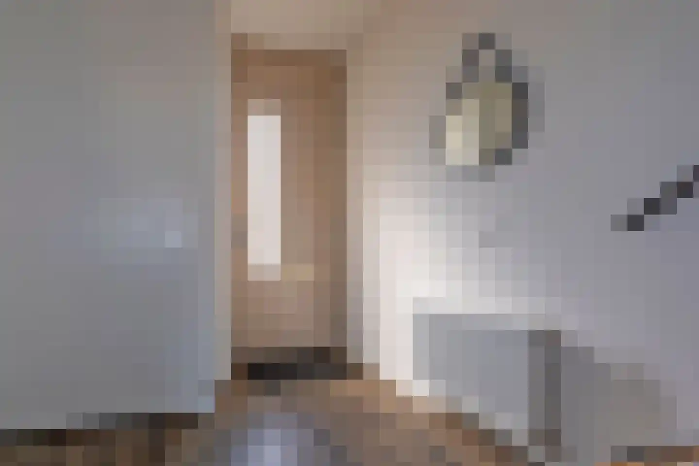 De Sleedoorn 12 Koekange thumbnail 8