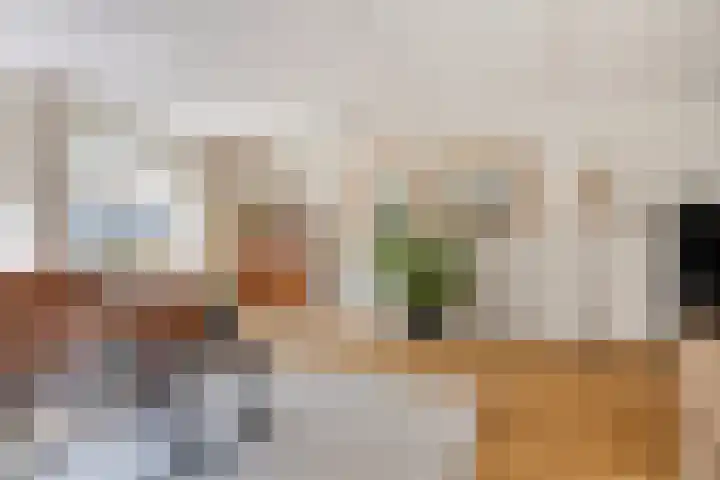de Slenk 22 Schagen thumbnail 13