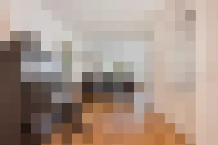 de Slenk 22 Schagen thumbnail 14