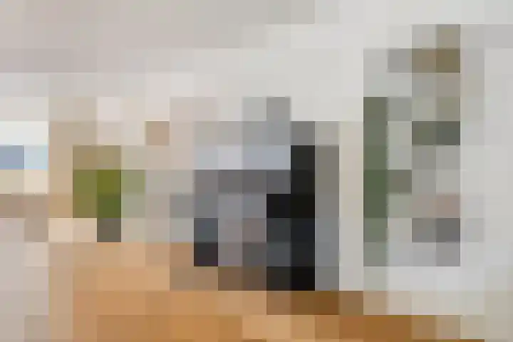de Slenk 22 Schagen thumbnail 15