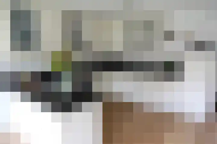 de Slenk 22 Schagen thumbnail 19