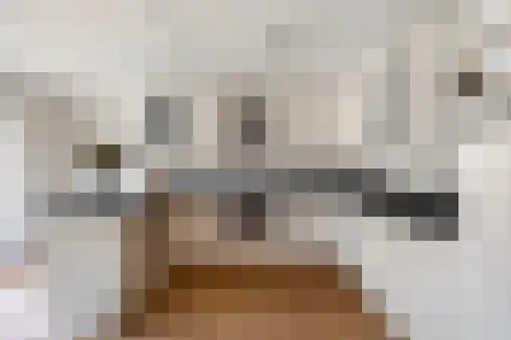 de Slenk 22 Schagen thumbnail 20