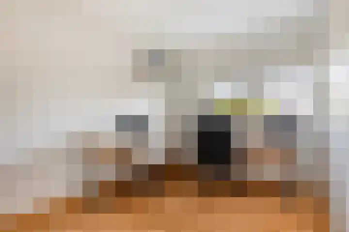de Slenk 22 Schagen thumbnail 31