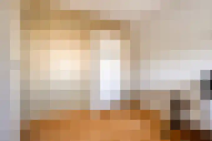 de Slenk 22 Schagen thumbnail 32