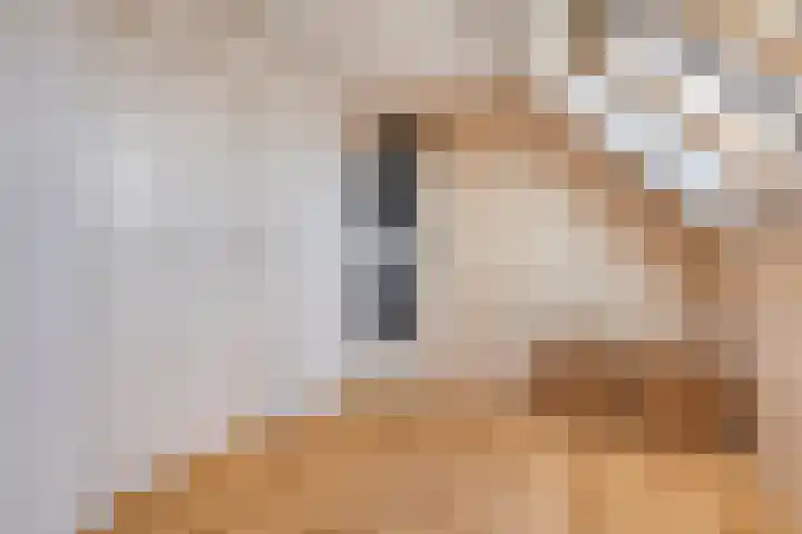 de Slenk 22 Schagen thumbnail 35