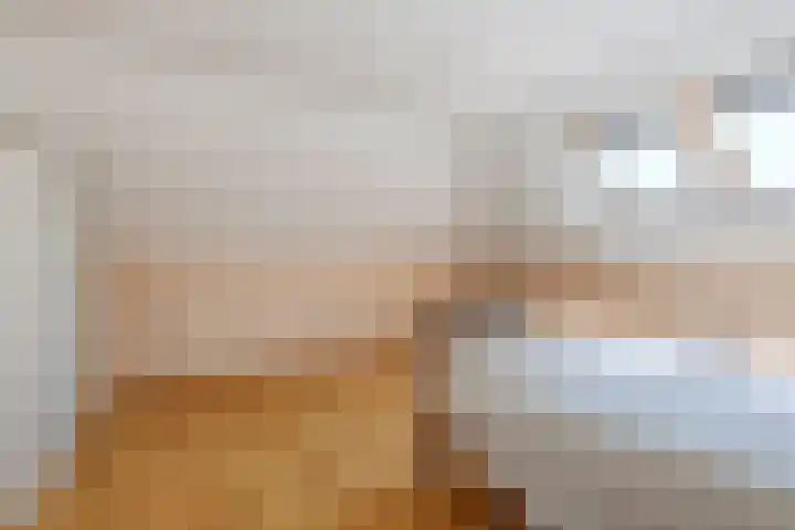 de Slenk 22 Schagen thumbnail 37