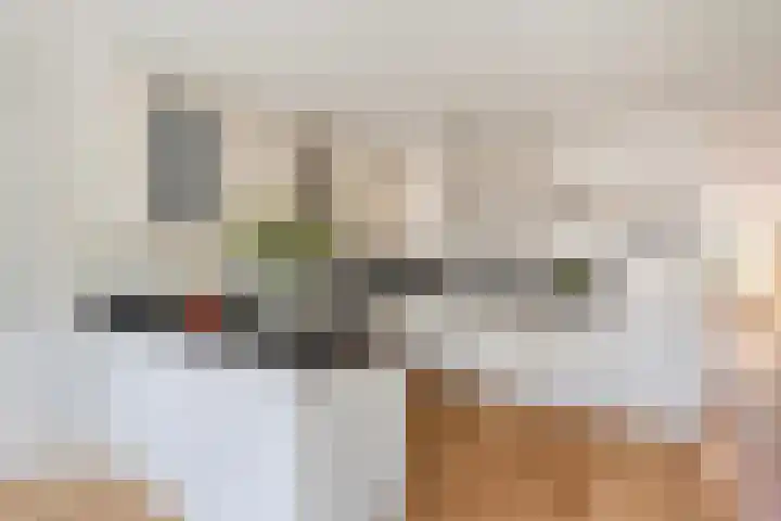 de Slenk 22 Schagen thumbnail 4