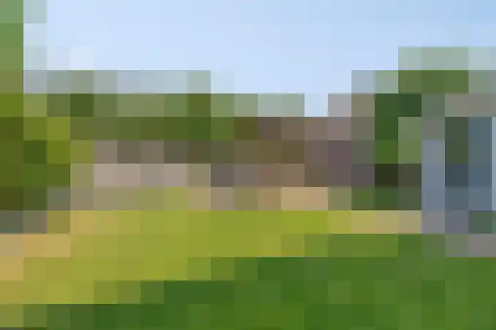 de Slenk 22 Schagen thumbnail 41