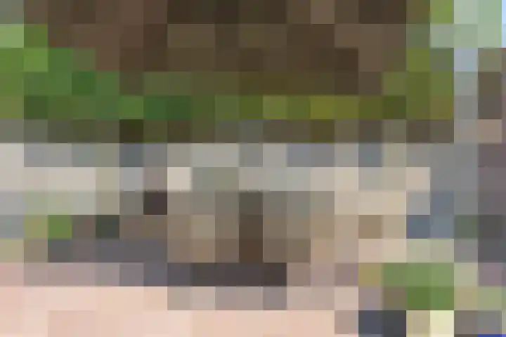de Slenk 22 Schagen thumbnail 42