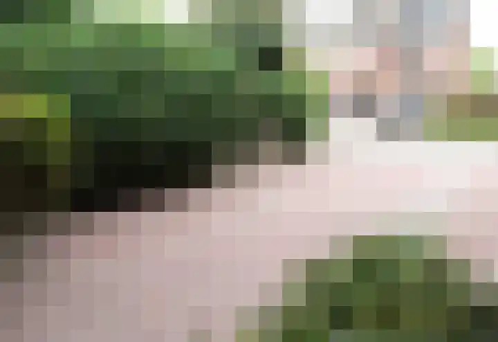 de Slenk 22 Schagen thumbnail 44