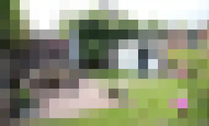 de Slenk 22 Schagen thumbnail 48