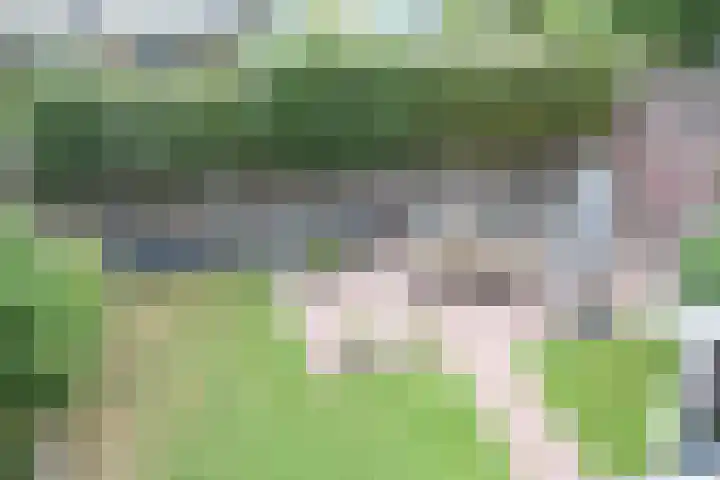 de Slenk 22 Schagen thumbnail 50