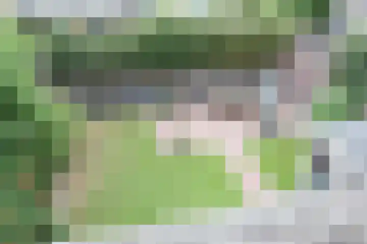 de Slenk 22 Schagen thumbnail 51