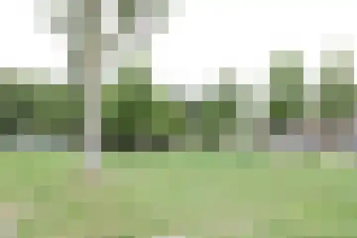 de Slenk 22 Schagen thumbnail 52