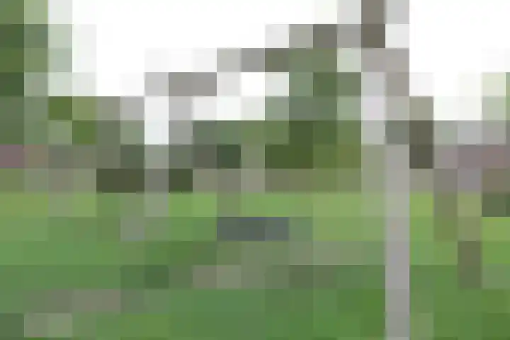 de Slenk 22 Schagen thumbnail 53