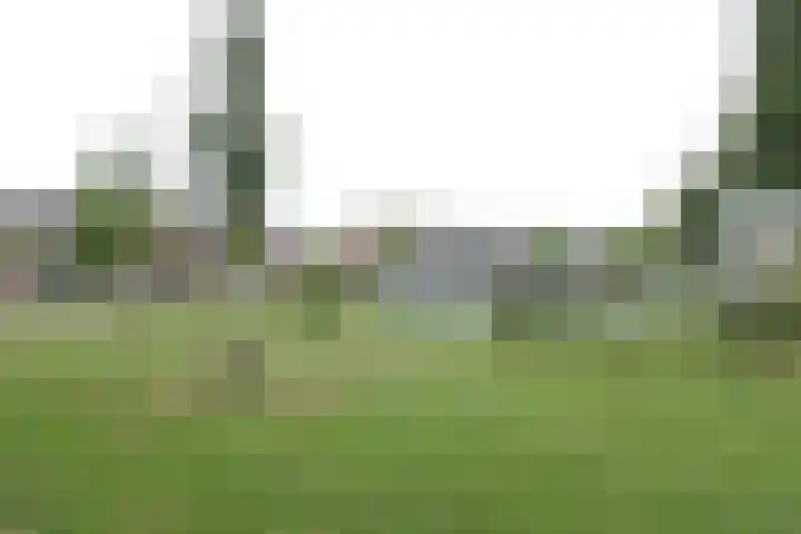 de Slenk 22 Schagen thumbnail 54