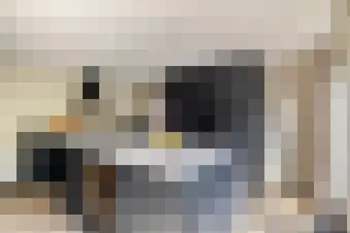 de Slenk 24 Schagen thumbnail 10