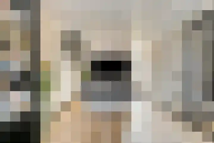 de Slenk 24 Schagen thumbnail 12