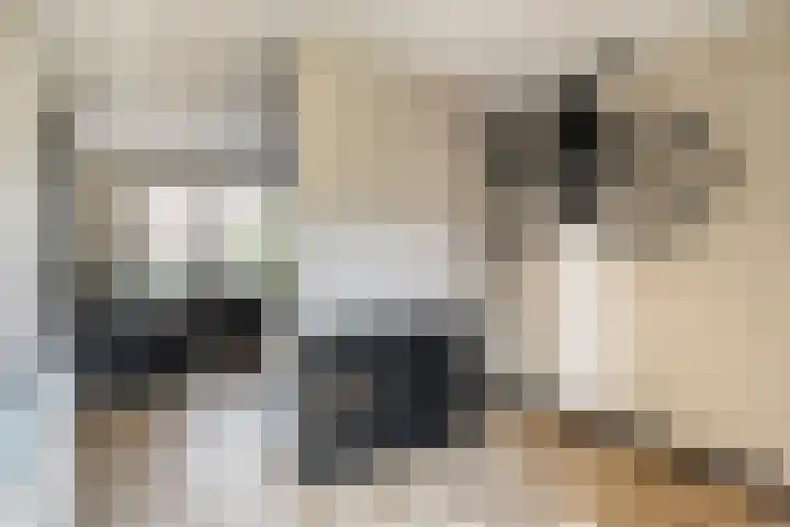 de Slenk 24 Schagen thumbnail 13