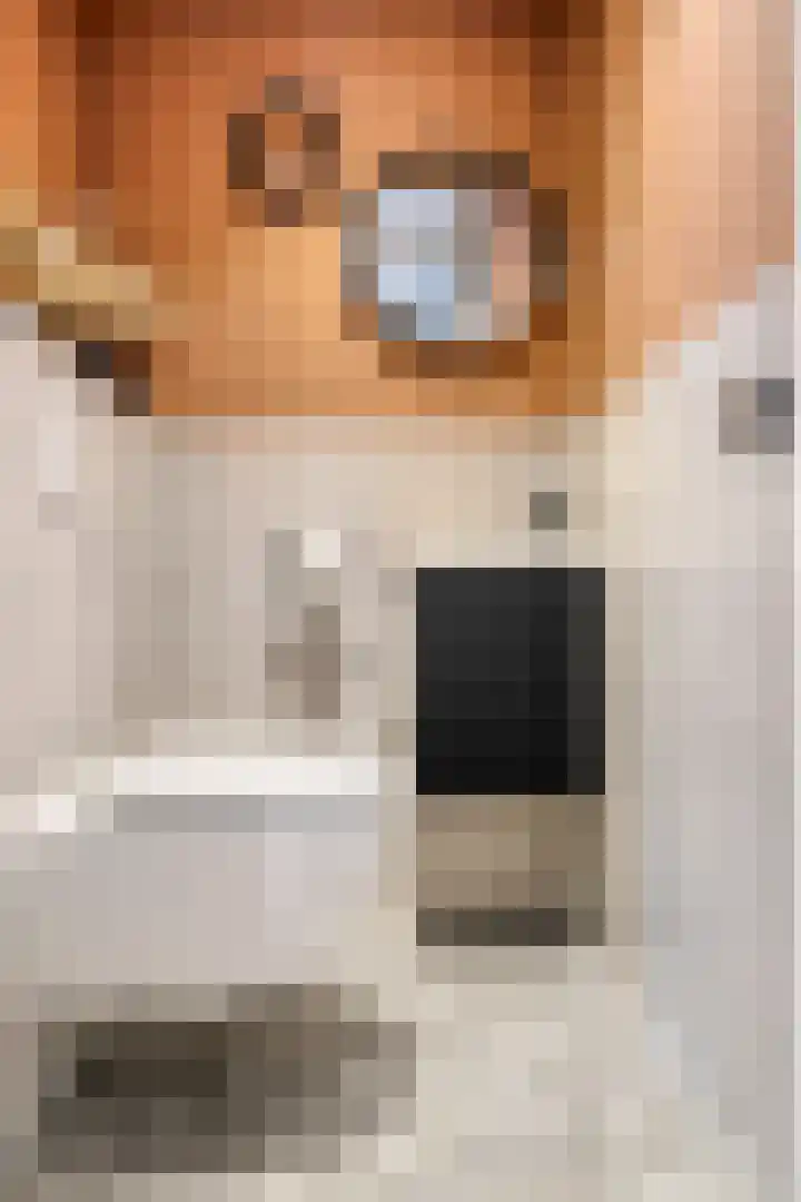 de Slenk 24 Schagen thumbnail 16