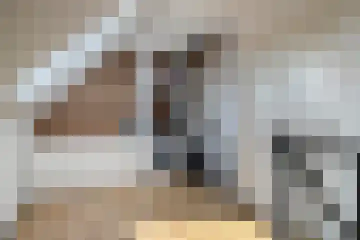 de Slenk 24 Schagen thumbnail 27