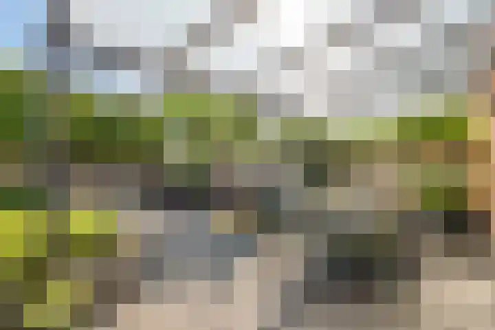 de Slenk 24 Schagen thumbnail 32