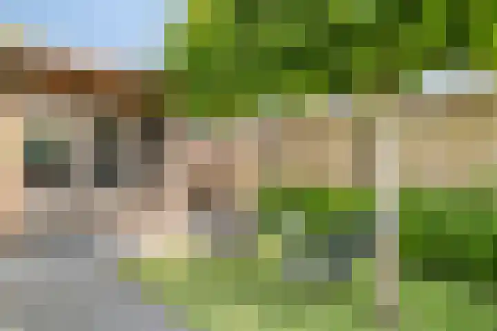 de Slenk 24 Schagen thumbnail 34