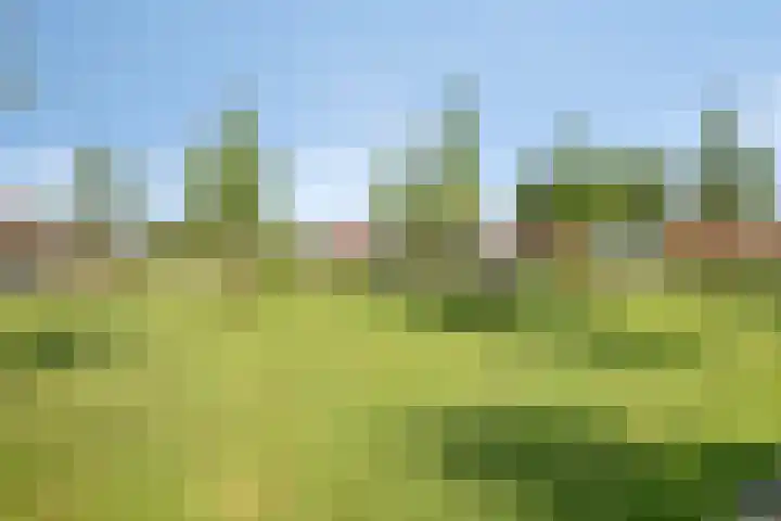 de Slenk 24 Schagen thumbnail 35
