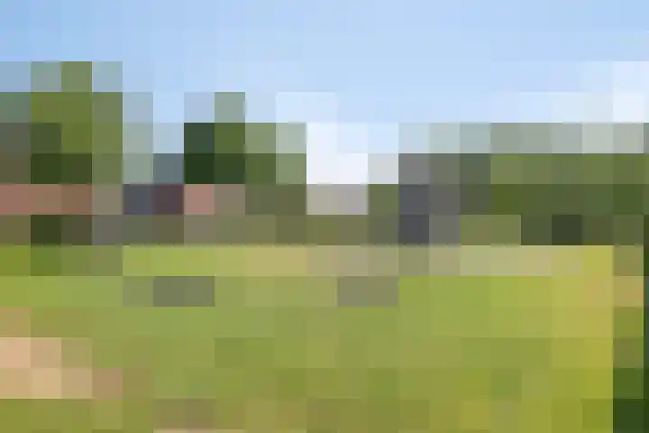 de Slenk 24 Schagen thumbnail 36