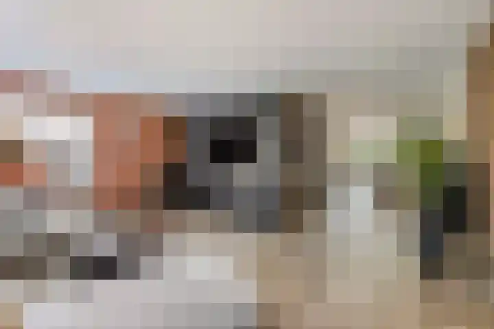 de Slenk 24 Schagen thumbnail 5