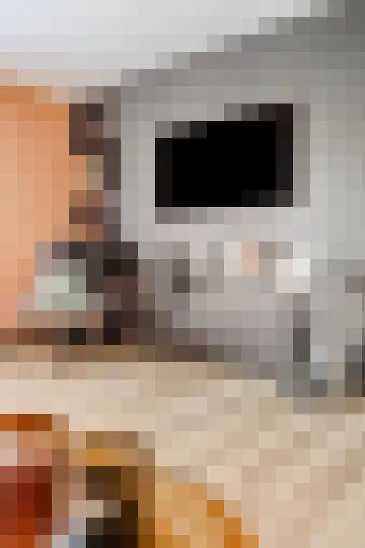 de Slenk 24 Schagen thumbnail 7