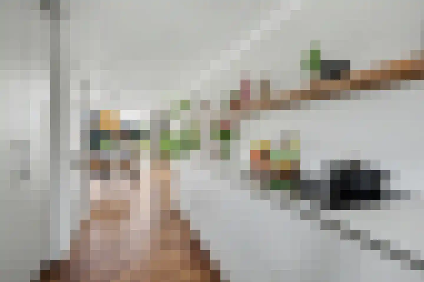de Slenk 35 Schagen thumbnail 18