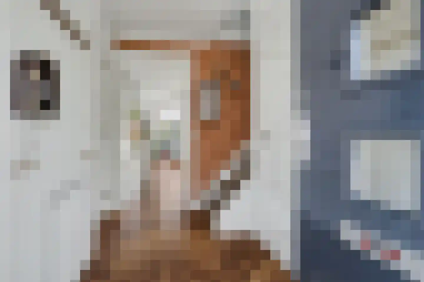 de Slenk 35 Schagen thumbnail 8