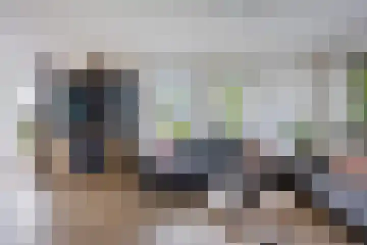 De Slieten 8 Borger thumbnail 10