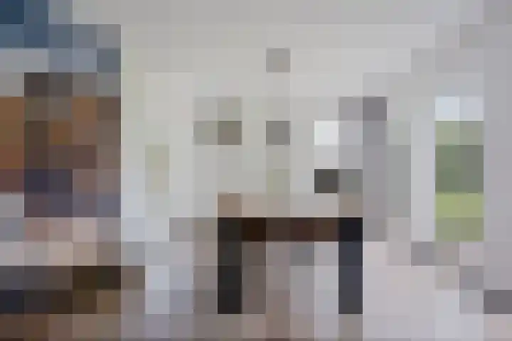 De Slieten 8 Borger thumbnail 12