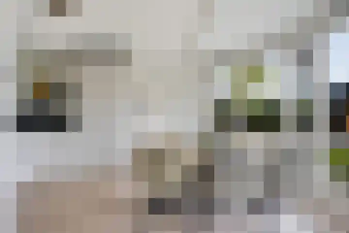 De Slieten 8 Borger thumbnail 16