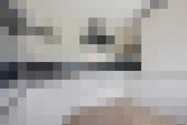 De Slieten 8 Borger thumbnail 17