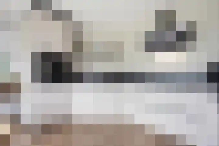 De Slieten 8 Borger thumbnail 18