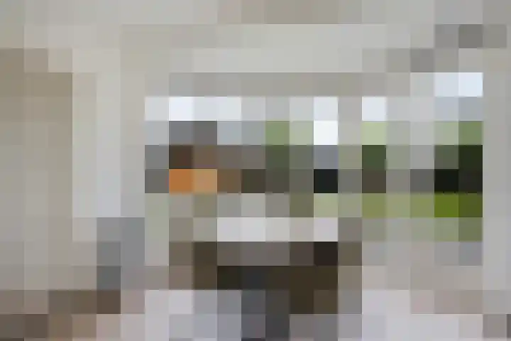 De Slieten 8 Borger thumbnail 20