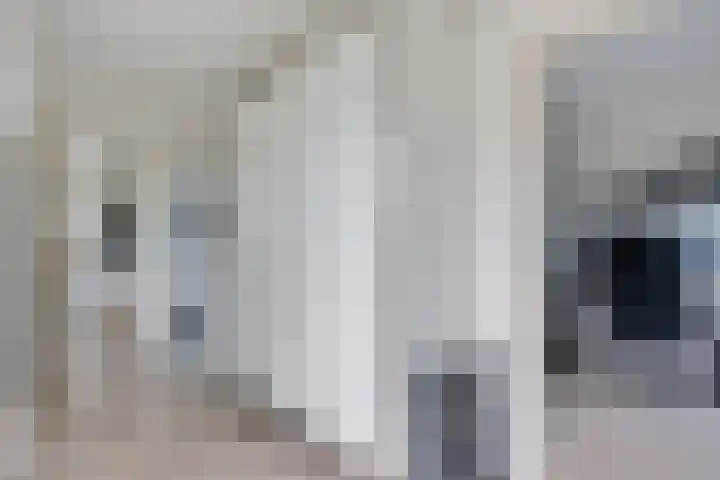 De Slieten 8 Borger thumbnail 22