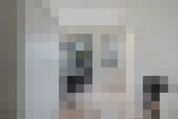 De Slieten 8 Borger thumbnail 24
