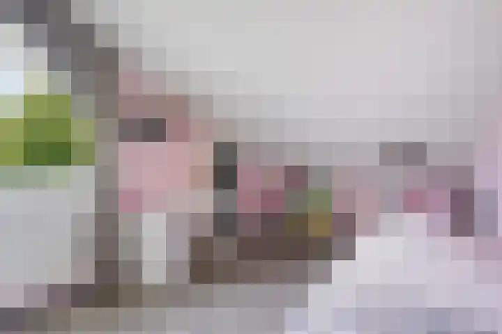 De Slieten 8 Borger thumbnail 31