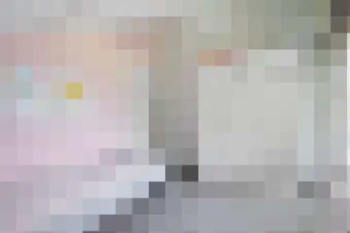 De Slieten 8 Borger thumbnail 32