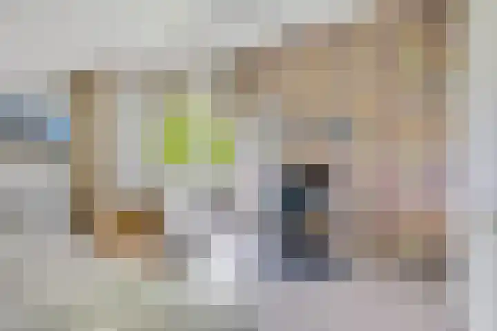 De Slieten 8 Borger thumbnail 37
