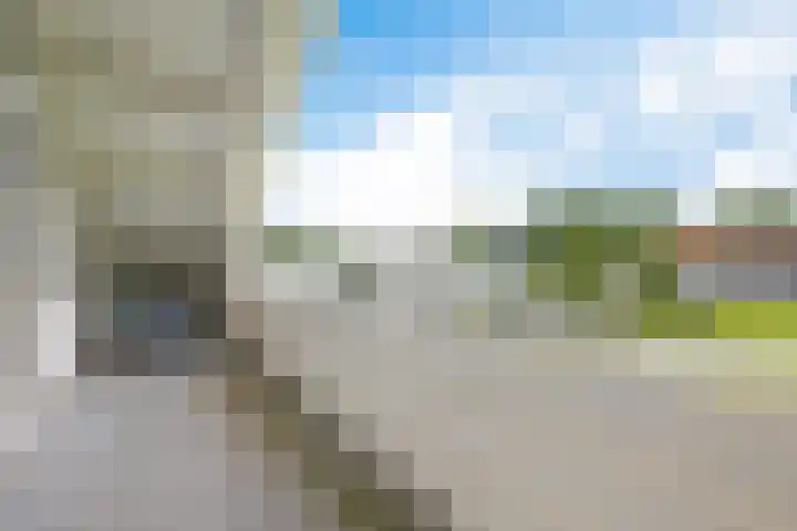 De Slieten 8 Borger thumbnail 38