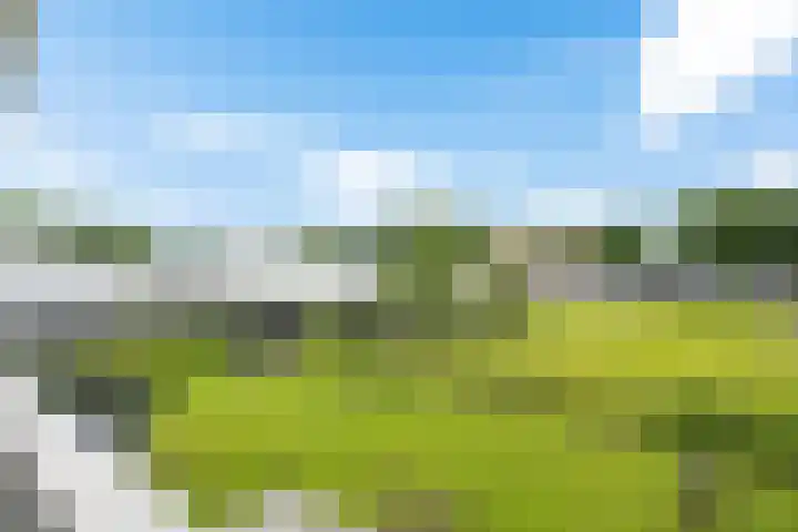 De Slieten 8 Borger thumbnail 39
