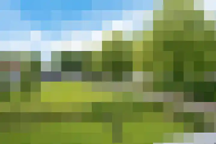 De Slieten 8 Borger thumbnail 40