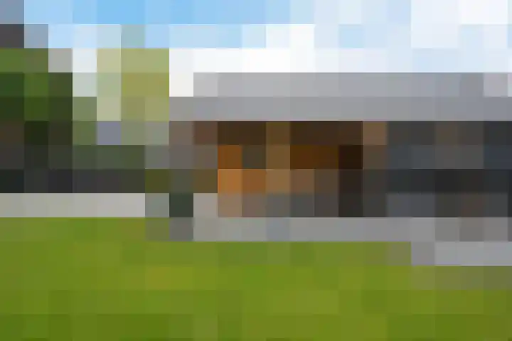 De Slieten 8 Borger thumbnail 44