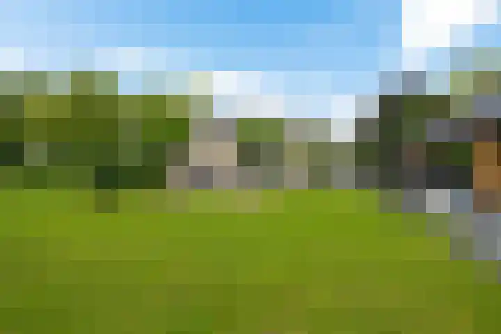 De Slieten 8 Borger thumbnail 45