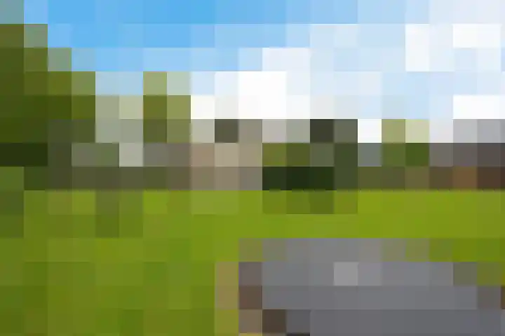 De Slieten 8 Borger thumbnail 46